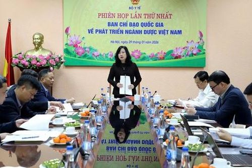 Phiên họp lần thứ nhất Ban chỉ đạo Quốc gia về phát triển ngành Dược Việt Nam