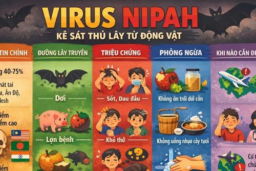 Virus Nipah – 'Kẻ sát thủ thầm lặng' từ dơi, lợn và trái cây