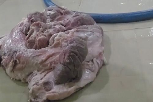 Học sinh TP.HCM phải dừng bán trú vì thực phẩm bẩn đến khi nào?