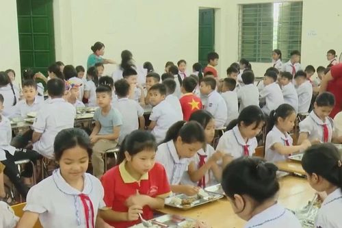 TP Hồ Chí Minh: Rà soát toàn diện việc tổ chức, cung cấp bữa ăn học đường
