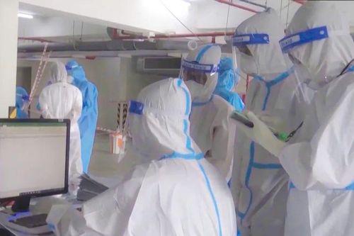 Cần Thơ: Tăng cường giám sát phòng, chống dịch bệnh do virus Nipah