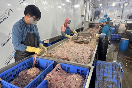 Công an Hà Nội phát hiện 'kho lạnh' chứa gần 60 tấn lòng lợn không rõ nguồn gốc