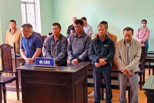 Tổ trưởng công ty lâm nghiệp nhận tiền để cho lâm tặc vào phá rừng
