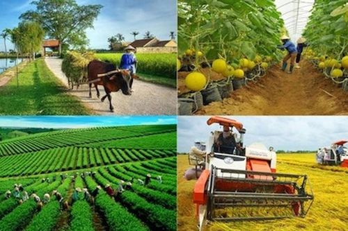 ADB và SBV nâng cao năng lực ngân hàng xanh, đẩy mạnh tài trợ khí hậu tại Việt Nam