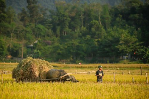 Cho ở nhờ vì thương người, khổ chủ ròng rã kiện đòi lại đất