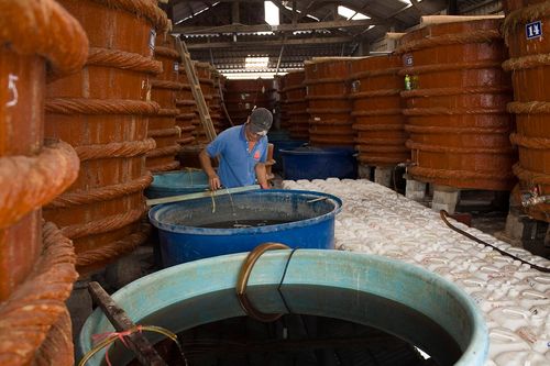 Đề xuất nghề nước mắm Phan Thiết là Di sản văn hóa phi vật thể quốc gia