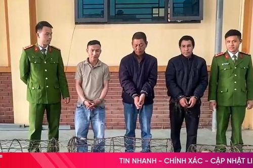 Còn ăn thịt chó thì còn... trộm chó!?