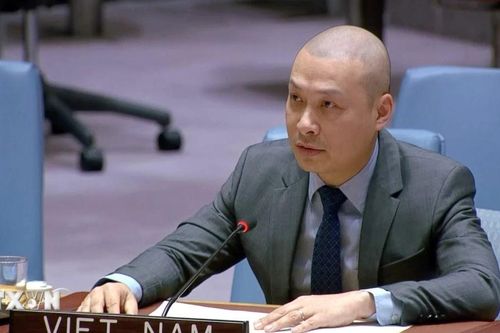 Việt Nam sẵn sàng đóng góp thiết thực cho tiến trình hòa bình và tái thiết Gaza