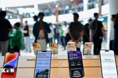 Apple thông báo doanh số iPhone lập đỉnh trong quý 4 năm 2025