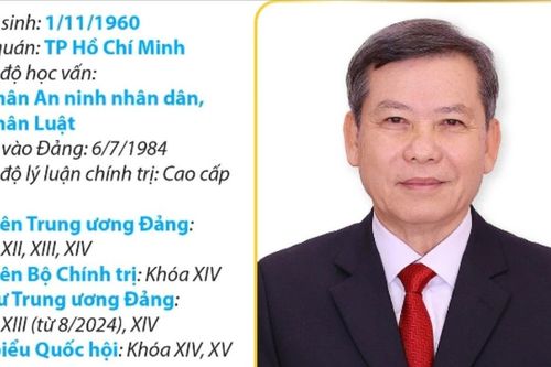 Ủy viên Bộ Chính trị, Bí thư TW Đảng, Trưởng Ban Nội chính TW Lê Minh Trí
