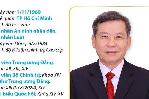 Trưởng Ban Nội chính Trung ương Lê Minh Trí