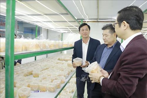 Phú Thọ phát triển mô hình sản xuất OCOP gắn với chuỗi liên kết tiêu thụ