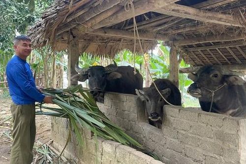 Khi chính sách đến vùng khó – Kỳ 2: Có mái nhà, nhưng con đường thoát nghèo vẫn gian nan