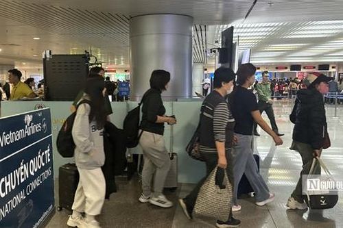 Sân bay Tân Sơn Nhất kích hoạt quy trình giám sát dịch bệnh do virus Nipah