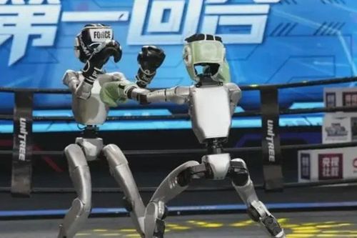 'Chỉ biết nhảy múa, đánh lộn': Robot hình người của Trung Quốc đang lâm vào ngõ cụt?