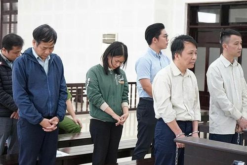 Gian lận đấu giá mỏ cát, 6 bị cáo lĩnh án