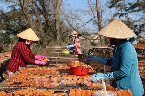 Tết đến sớm ở làng khô ven biển TP. Hồ Chí Minh