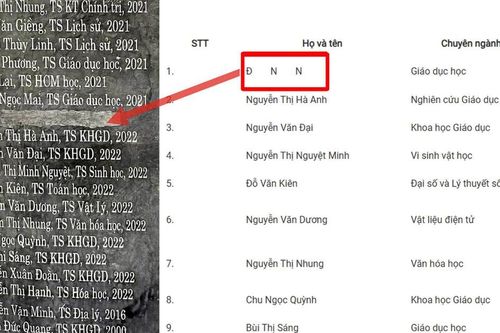 Đại biểu Quốc hội: Vụ giảng viên dùng bằng giả cho thấy lỗ hổng liêm chính khoa học