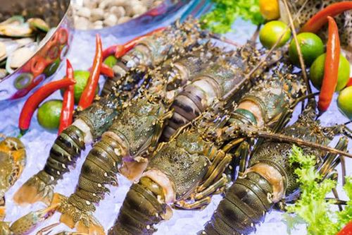 Trung Quốc 'tăng chi' cho phân khúc cao cấp, xuất khẩu tôm Việt hưởng lợi