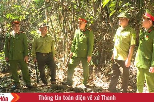 Giữ bình yên mùa