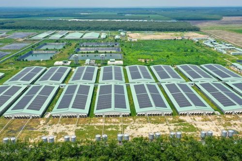Doanh nghiệp nỗ lực giữ biên lợi nhuận nhờ kiểm soát tốt chi phí và mô hình kinh doanh ổn định
