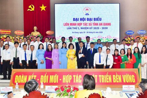 Đại hội Đại biểu Liên minh Hợp tác xã tỉnh An Giang lần thứ I, nhiệm kỳ 2025 - 2030