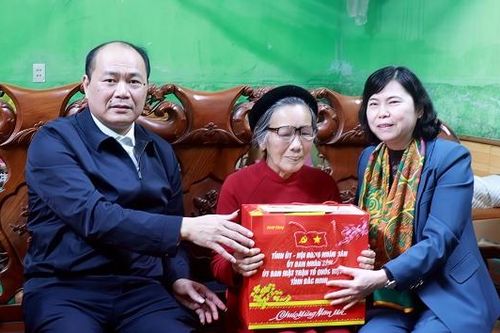 Phó Chủ tịch Thường trực HĐND tỉnh Trần Thị Hằng thăm, tặng quà Tết tại xã Tiên Lục và Bệnh viện Sức khỏe tâm thần Bắc Ninh số 1