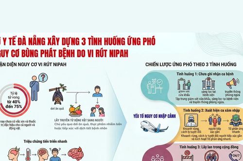 Đà Nẵng tăng cường giám sát, sẵn sàng ứng phó nguy cơ bệnh do vi rút Nipah