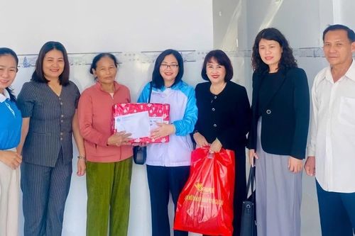 Gia Lai: Bàn giao nhà Đại đoàn kết và hỗ trợ sinh kế cho phụ nữ nghèo