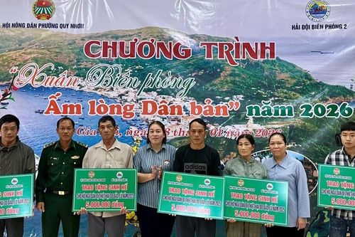 Lực lượng quân đội tổ chức nhiều hoạt động chăm lo Tết cho người dân
