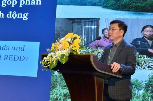 Gia Lai tham gia khởi động Dự án Giảm thiểu khí thải khu vực Tây Nguyên và Duyên hải Nam Trung Bộ