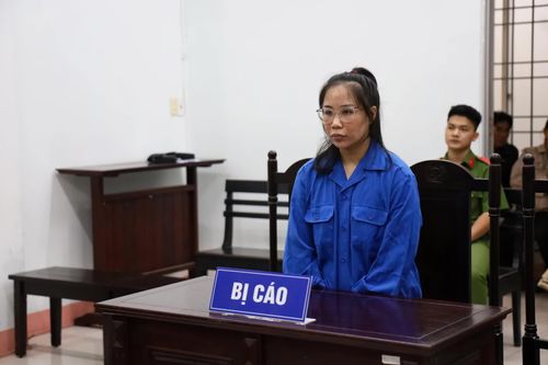 Lập khống hợp đồng tín dụng, lừa đảo 22 khách hàng