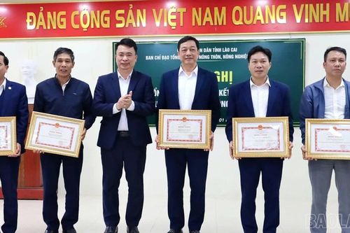 Lào Cai công bố kết quả sơ bộ Tổng điều tra nông thôn, nông nghiệp năm 2025