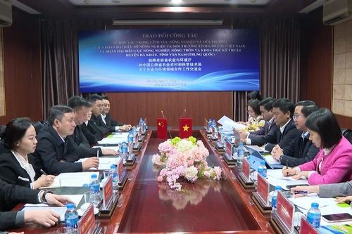 Đoàn công tác Cục Nông nghiệp Nông thôn và Khoa học Kỹ thuật huyện Hà Khẩu làm việc tại Lào Cai