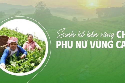 Sinh kế bền vững cho phụ nữ vùng cao