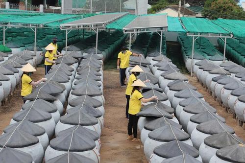 Đề nghị đưa 'Nghề nước nắm truyền thống Phan Thiết' vào di sản văn hóa phi vật thể quốc gia