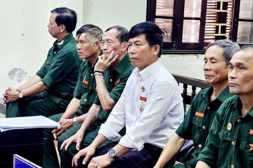 6 cựu chiến binh ở Lâm Đồng phạm tội phá rừng