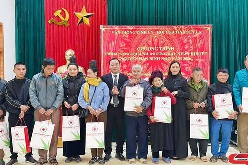Văn phòng Tỉnh ủy thăm, tặng quà Tết tại xã Mường Sại