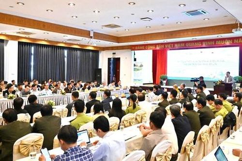 Huế: Lan tỏa thông điệp bảo tồn thiên nhiên là trách nhiệm của cộng đồng