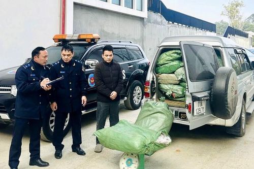 Hải quan bắt giữ vụ buôn lậu gần 800 kg lá thuốc lá tại Cao Bằng