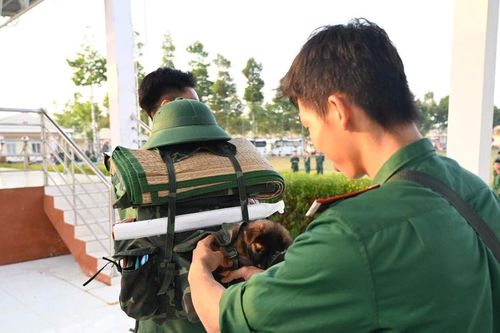 An Giang: Tân binh - từ bỡ ngỡ đến tự hào khi trở thành 'Bộ đội Cụ Hồ'
