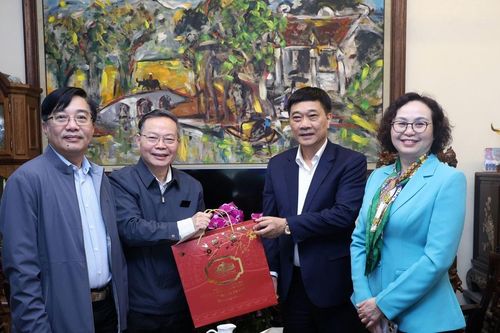 Phó Chủ tịch Quốc hội Vũ Hồng Thanh chúc Tết nguyên lãnh đạo Quốc hội