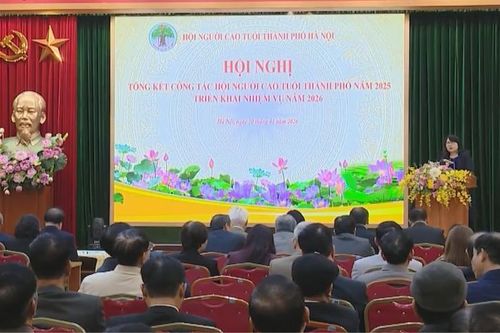 Chăm sóc, phát huy vai trò người cao tuổi