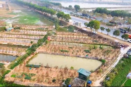 Giao gần 9.700 m² đất xây dựng KĐT mới tại xã Thiên Lộc