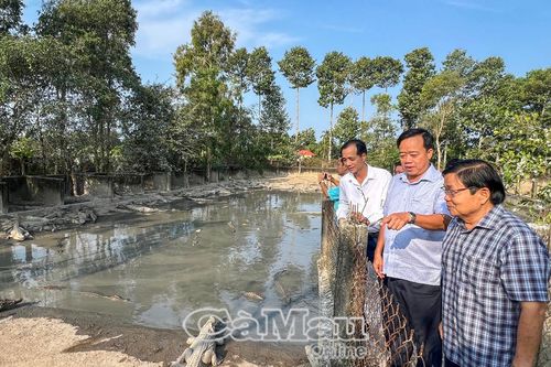 Vĩnh Thanh cần tạo đột phá phát triển