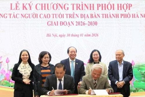 Hà Nội: Phấn đấu 100% người cao tuổi được khám sức khỏe định kỳ ít nhất 1 lần/năm