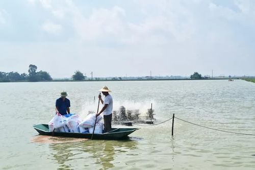Hà Nội: hướng tới phát triển thủy sản bền vững