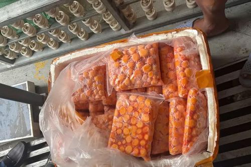 Hơn 12 tấn sụn gà, trứng non nghi nhập lậu được phát hiện trong xe container