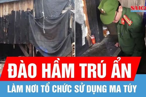 Chiếm 1.000m² đất để xây nhà chòi, đào hầm làm nơi sử dụng ma túy