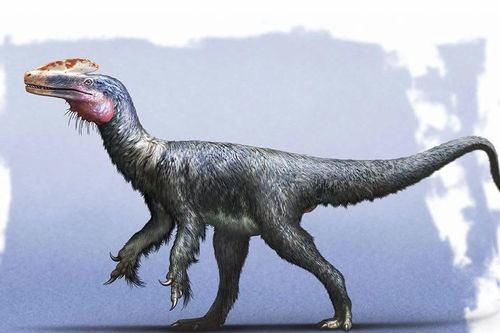 Tiết lộ sốc về tổ tiên dị hợm của khủng long bạo chúa Tyrannosaurus